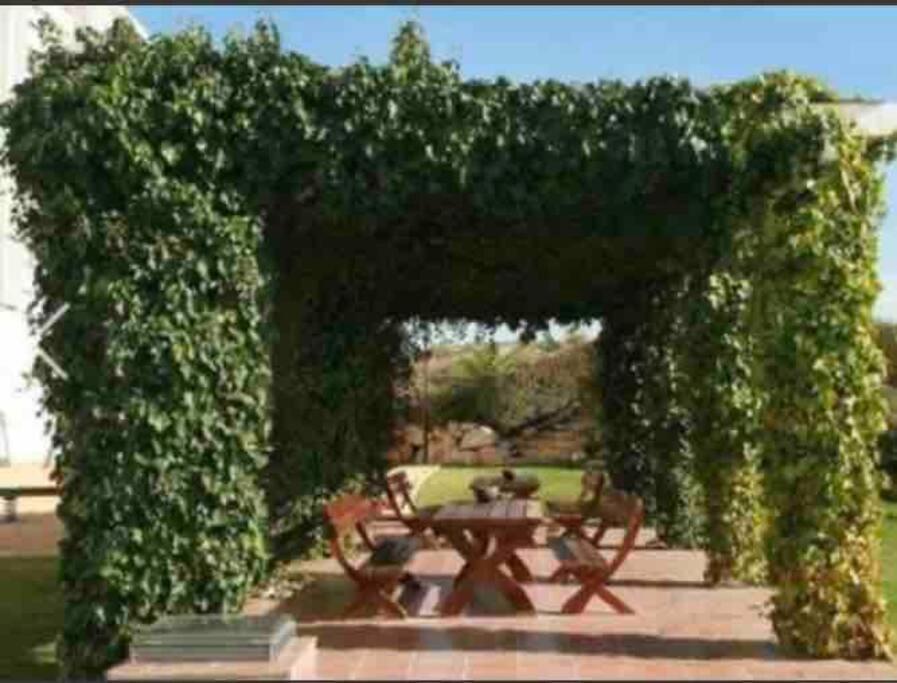 Top-Floor Beachfront Apartment With Parking, Pool, & Spacious Sea-View Balcony Villajoyosa Eksteriør bilde